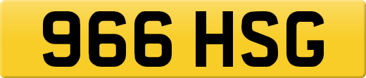 966HSG