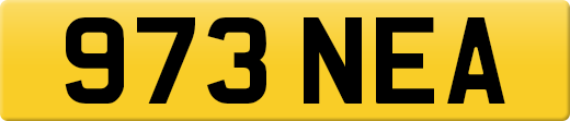 973NEA