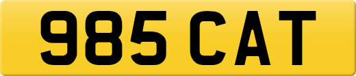 985CAT