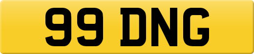 99DNG