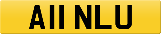 A11NLU