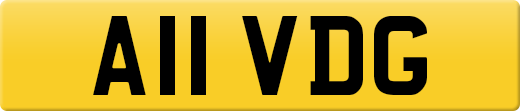 A11VDG