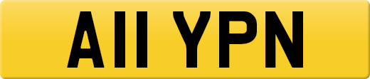 A11YPN