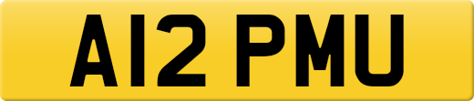 A12PMU
