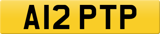A12PTP