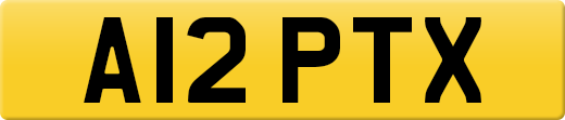 A12PTX
