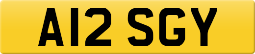 A12SGY