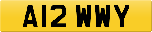 A12WWY