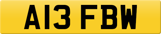 A13FBW