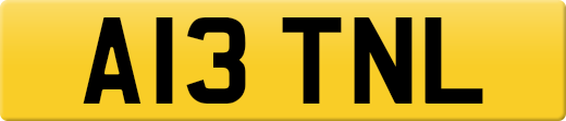 A13TNL