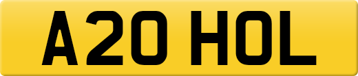 A20HOL