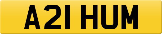 A21HUM