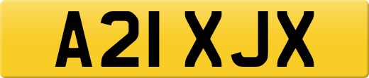 A21XJX