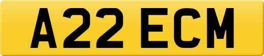 A22ECM