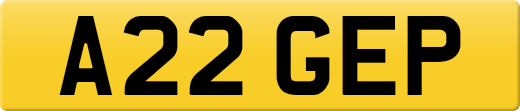 A22GEP