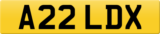 A22LDX