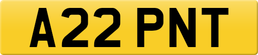 A22PNT