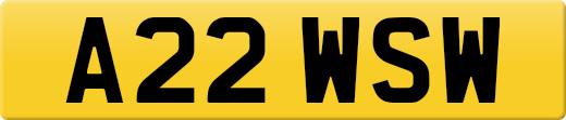A22WSW