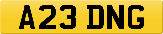 A23DNG
