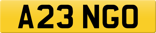 A23NGO