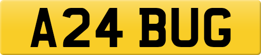A24BUG