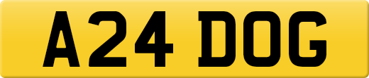A24DOG