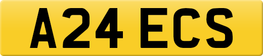 A24ECS