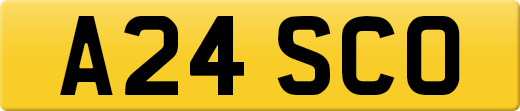 A24SCO