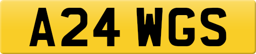 A24WGS
