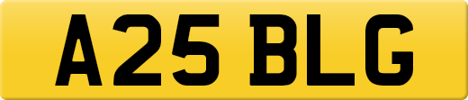 A25BLG
