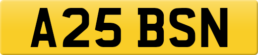 A25BSN