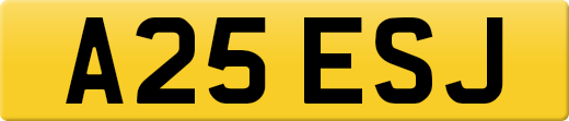 A25ESJ