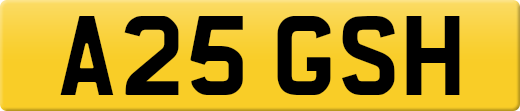 A25GSH