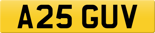 A25GUV