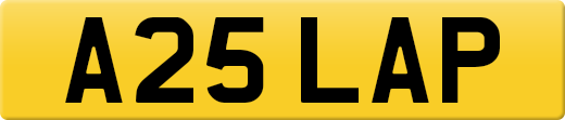 A25LAP