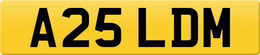 A25LDM