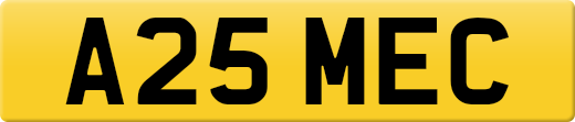 A25MEC