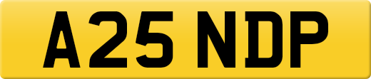 A25NDP