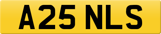A25NLS