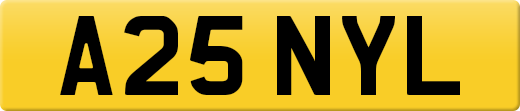 A25NYL