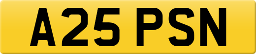 A25PSN