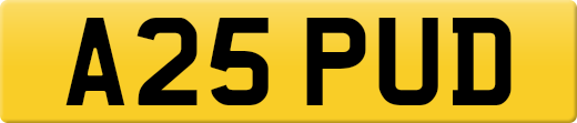 A25PUD