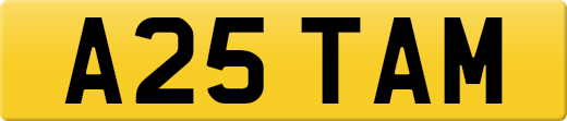 A25TAM