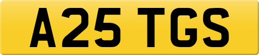 A25TGS