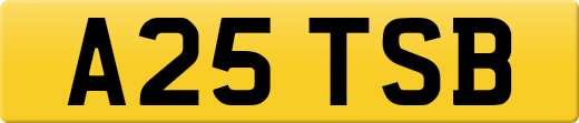 A25TSB