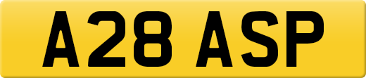 A28ASP