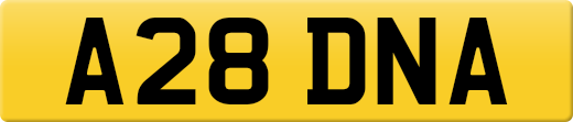 A28DNA