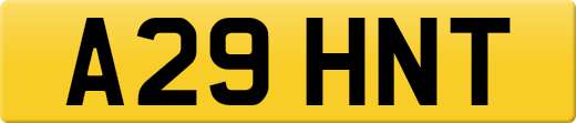 A29HNT