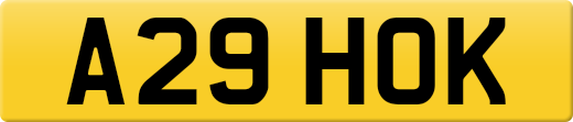 A29HOK