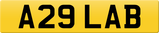A29LAB